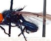thumb-image-2024-02-29T13:57:38.581Z