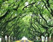 thumb-image-2024-02-29T13:57:39.109Z
