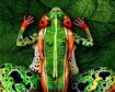 thumb-image-2024-02-29T13:57:39.169Z