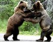 thumb-image-2024-02-29T13:57:39.347Z