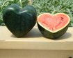 thumb-image-2024-02-29T13:57:39.663Z