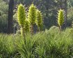 thumb-image-2024-02-29T13:57:40.649Z
