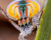 thumb-image-2024-02-29T13:57:41.633Z