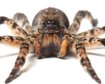 thumb-image-2024-02-29T13:57:42.305Z