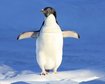 thumb-image-2024-02-29T13:57:42.459Z