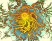 thumb-image-2024-02-29T13:57:42.647Z