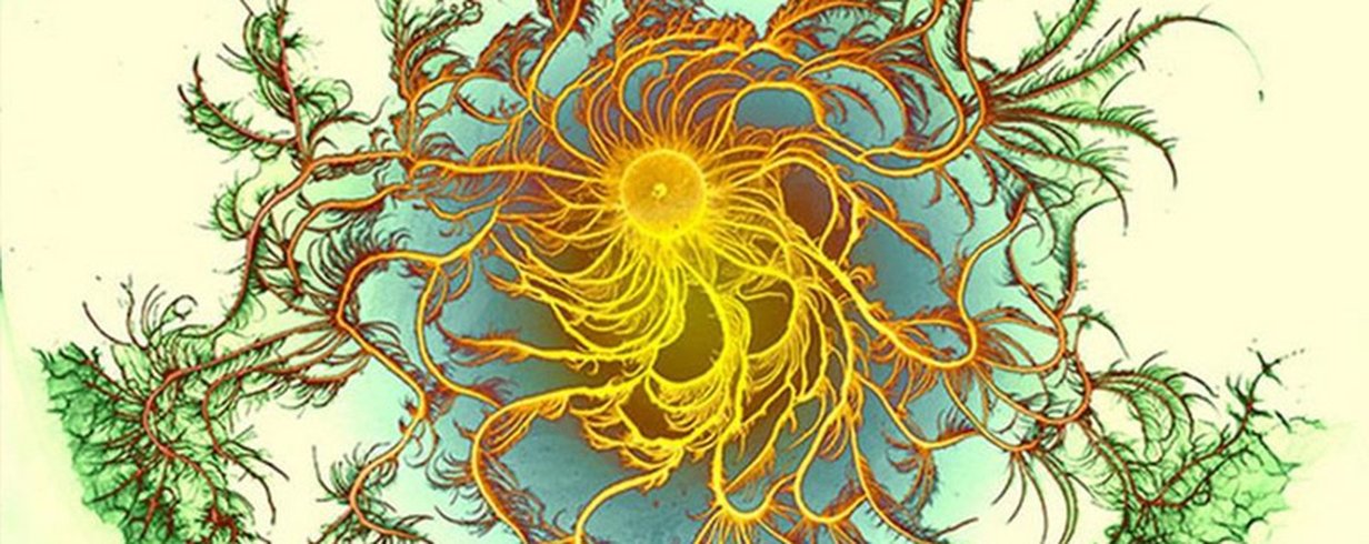 thumb-image-2024-02-29T13:57:42.647Z