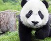 thumb-image-2024-02-29T13:57:42.720Z