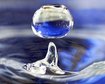 thumb-image-2024-02-29T13:57:42.802Z