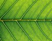 thumb-image-2024-02-29T13:57:43.492Z