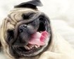 thumb-image-2024-02-29T13:57:43.634Z