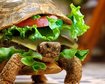 thumb-image-2024-02-29T13:57:43.712Z