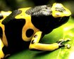 thumb-image-2024-02-29T13:57:43.733Z