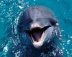 thumb-image-2024-02-29T13:58:04.554Z