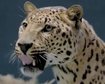 thumb-image-2024-02-29T13:58:04.627Z