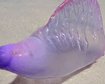 thumb-image-2024-02-29T13:58:04.637Z