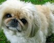 thumb-image-2024-02-29T13:58:04.867Z