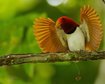 thumb-image-2024-02-29T13:58:04.884Z