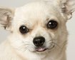 thumb-image-2024-02-29T13:58:06.233Z