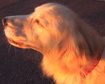 thumb-image-2024-02-29T13:58:06.291Z