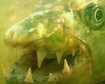 thumb-image-2024-02-29T13:58:06.302Z