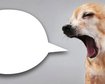 thumb-image-2024-02-29T13:58:06.920Z
