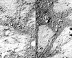 thumb-image-2024-02-29T13:58:07.165Z