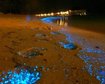 thumb-image-2024-02-29T13:58:07.405Z