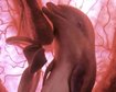 thumb-image-2024-02-29T13:58:07.481Z