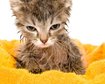 thumb-image-2024-02-29T13:58:07.711Z