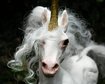 thumb-image-2024-02-29T13:58:07.989Z