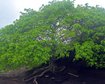 thumb-image-2024-02-29T13:58:08.020Z
