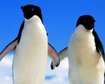 thumb-image-2024-02-29T13:58:08.269Z