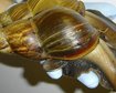 thumb-image-2024-02-29T13:58:08.956Z