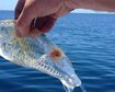 thumb-image-2024-02-29T13:58:09.195Z