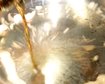 thumb-image-2024-02-29T13:58:10.020Z