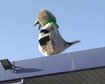 thumb-image-2024-02-29T13:58:10.076Z