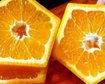 thumb-image-2024-02-29T13:58:10.099Z