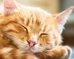 thumb-image-2024-02-29T13:58:11.381Z