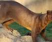 thumb-image-2024-02-29T13:58:11.577Z