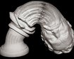 thumb-image-2024-02-29T13:58:11.672Z