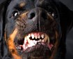 thumb-image-2024-02-29T13:58:12.097Z