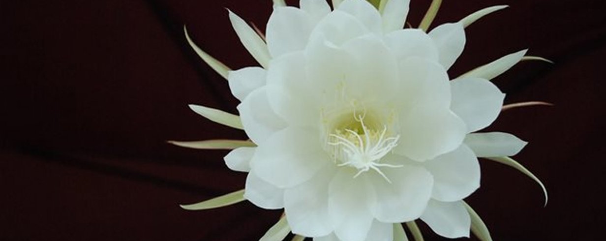 thumb-image-2024-02-29T13:58:12.863Z