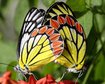 thumb-image-2024-02-29T13:58:13.362Z