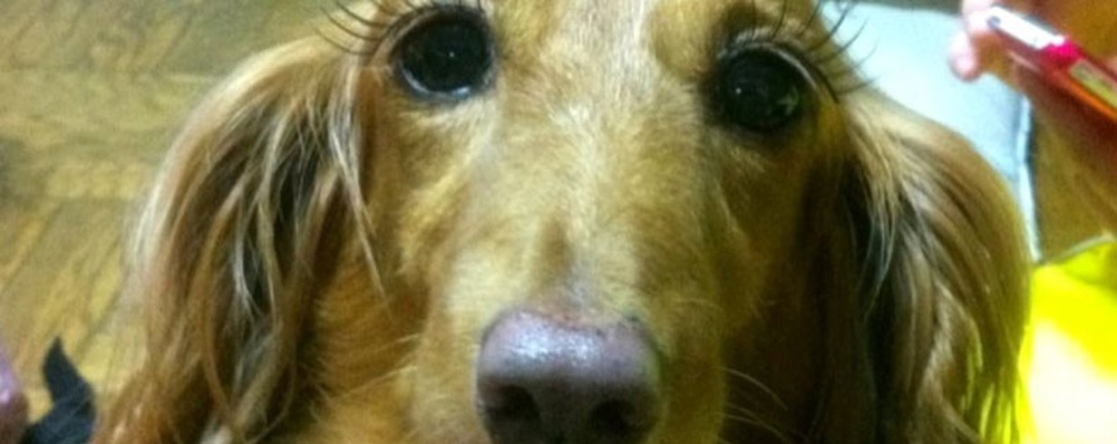 thumb-image-2024-02-29T13:58:13.676Z