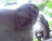 thumb-image-2024-02-29T13:58:15.773Z