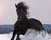 thumb-image-2024-02-29T13:58:16.960Z