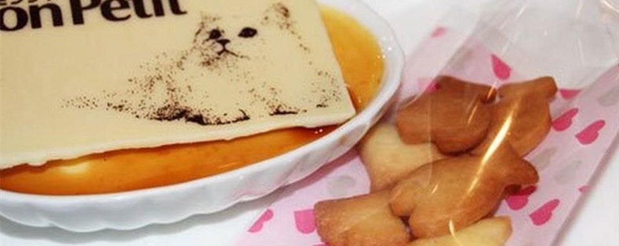 thumb-image-2024-02-29T13:58:17.340Z