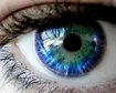 thumb-image-2024-02-29T13:58:18.203Z
