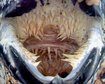 thumb-image-2024-02-29T13:58:18.331Z